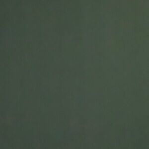 Meet your Posher, Shyn